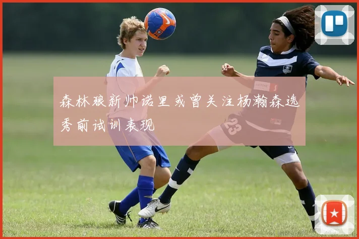 森林狼新帅诺里或曾关注杨瀚森选秀前试训表现