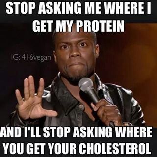 stop asking protein